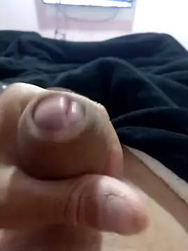 fepintudo Show Webcam