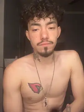 theone3121 Show in webcam