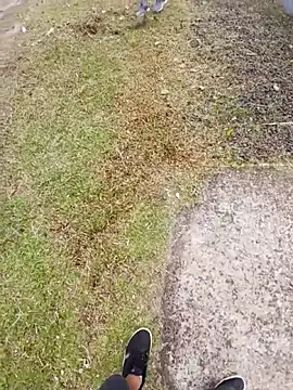 Lupita_sol Show in webcam