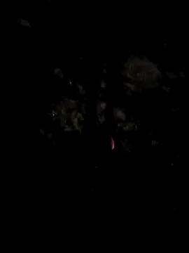 Lupita_sol Adlı Modelin Web Kamerası Şovu