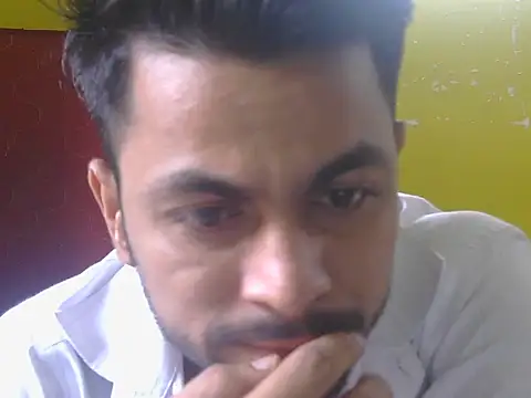 Stubborndesiboyのウェブカメラショー