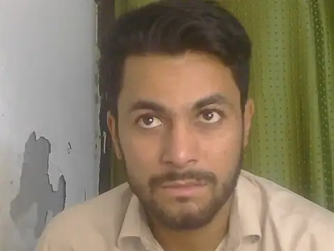 Stubborndesiboy Webcam-Show