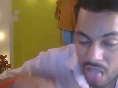 Stubborndesiboyのウェブカメラショー