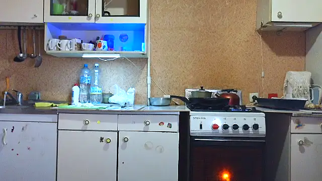 ห้องแชทสดของ Aleksa58