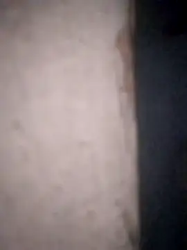 Show Webcam de Baese-lsedd