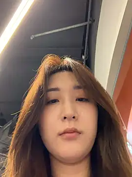 KK-328 Show Webcam