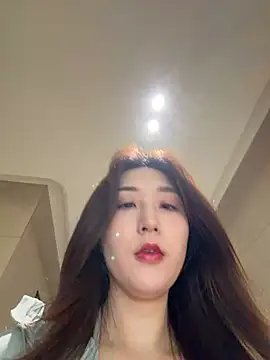 KK-328 Show Webcam