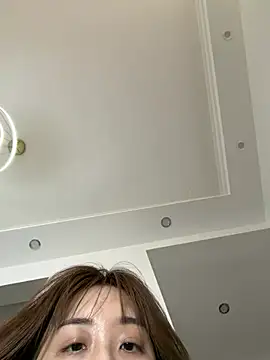 KK-328 Show Webcam