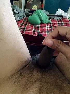 hotbull30 ওয়েবক্যাম শো
