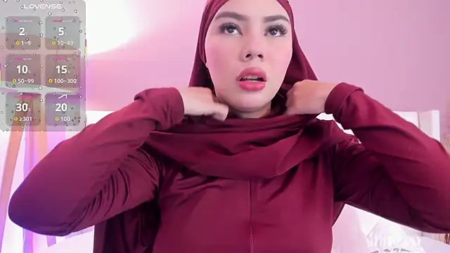 _Saandyn Webbikameraesitys