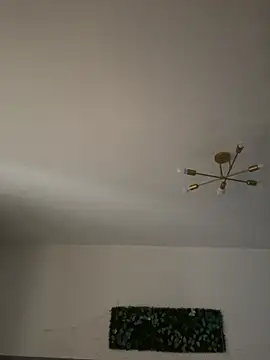 AuraPure Webcam show