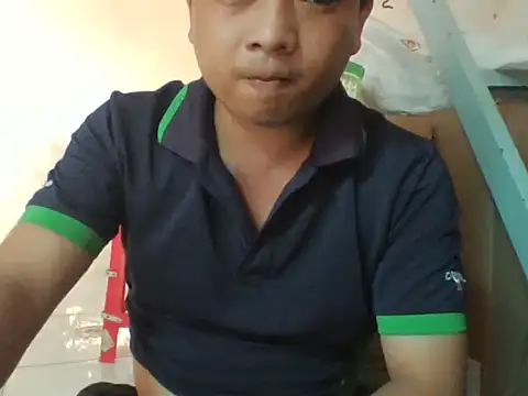 Palatable69-VN 网络视讯表演