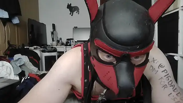 Show modela PigDadDog na web-kameri