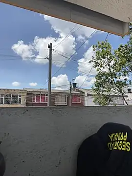 Sallem_Pink Show Webcam