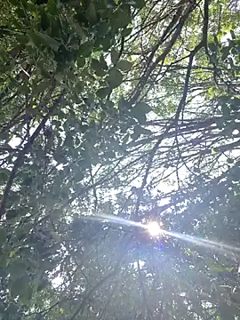 Matotoka45's Webcam Show