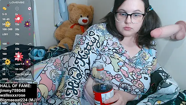 sugarstock's Webcam Show