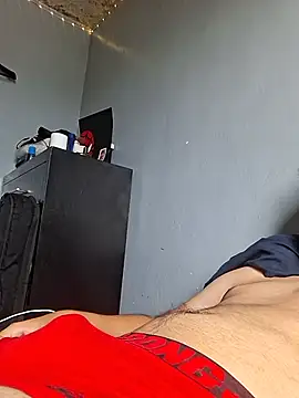 Ysusntn Webbikameraesitys
