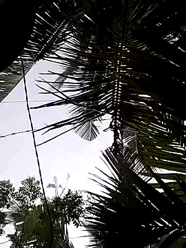 BigAss-69 Show in webcam