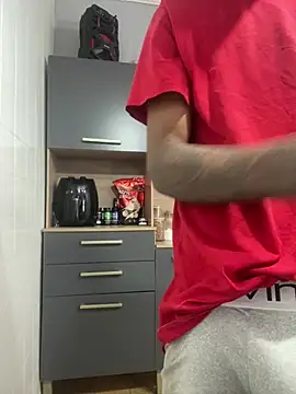 Silva_siln Webbikameraesitys