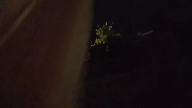 sloppytopkins Show Webcam
