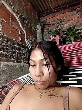 Show Webcam de Rous-squir