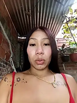 Show webcam de Rous-squir