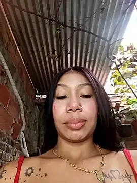 Show webcam de Rous-squir