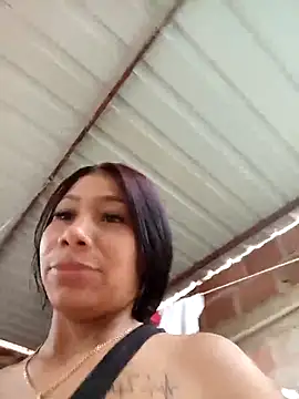 Show webcam de Rous-squir