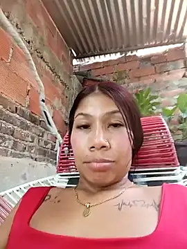 Show Webcam de Rous-squir