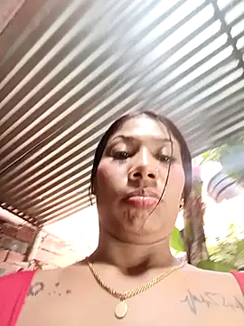 โช ว์เว็บแคมของ Rous-squir