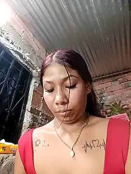 Rous-squir Show Webcam