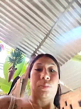 Show Webcam de Rous-squir