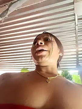 Show webcam de Rous-squir