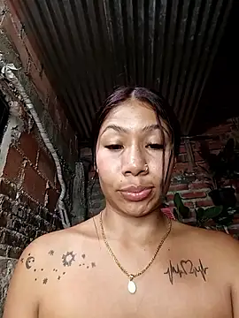 Show Webcam de Rous-squir