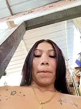 Rous-squir Pertunjukan Webcam