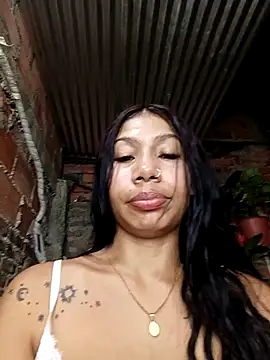 Show webcam de Rous-squir