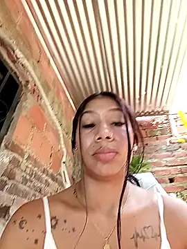 Rous-squir Pertunjukan Webcam