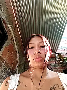 Show webcam de Rous-squir