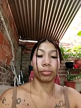 Show webcam de Rous-squir