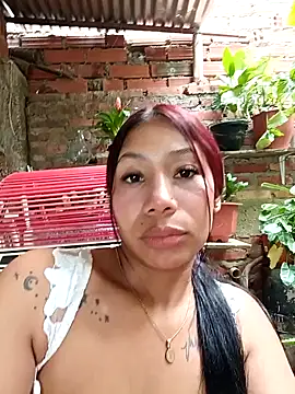 Show webcam de Rous-squir