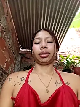 Show webcam de Rous-squir