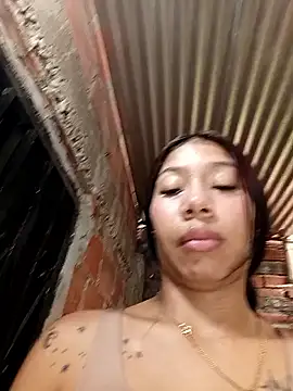 Pokazy przed kamerką – Rous-squir