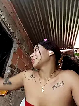 Show webcam de Rous-squir