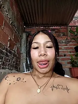 Show Webcam de Rous-squir