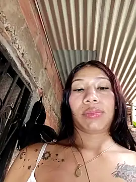Show webcam de Rous-squir
