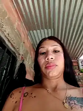Show webcam de Rous-squir