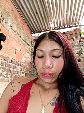 Show webcam de Rous-squir