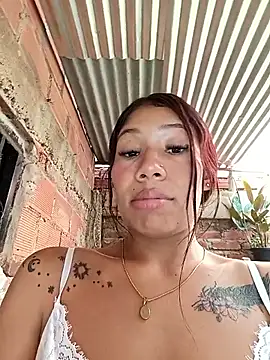 Show Webcam de Rous-squir