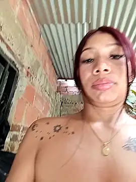 Show Webcam de Rous-squir