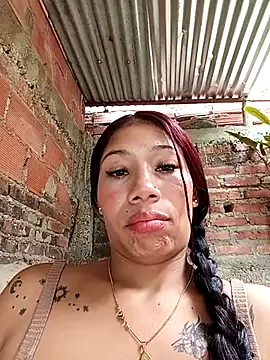 Show webcam de Rous-squir